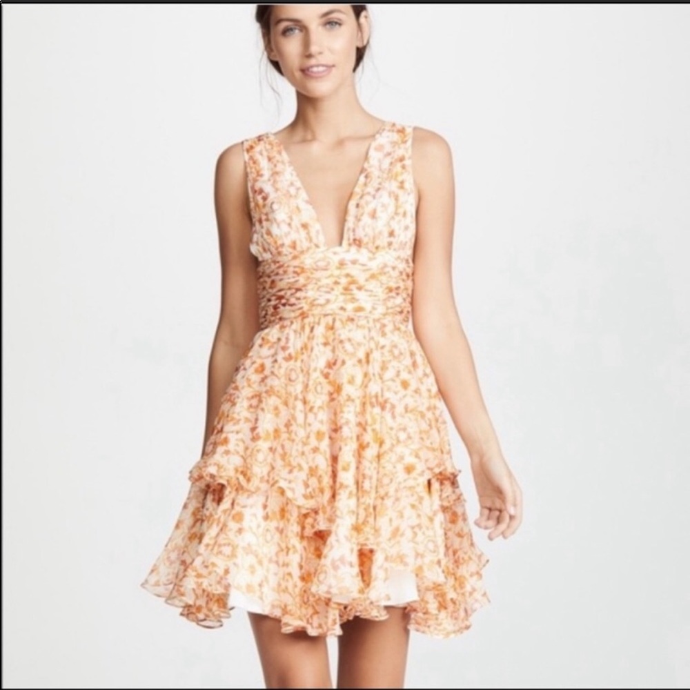 Caroline constas dress